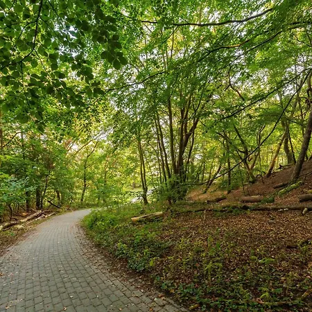 Residenz Waldschloesschen 1 * Sellin (Rugen)